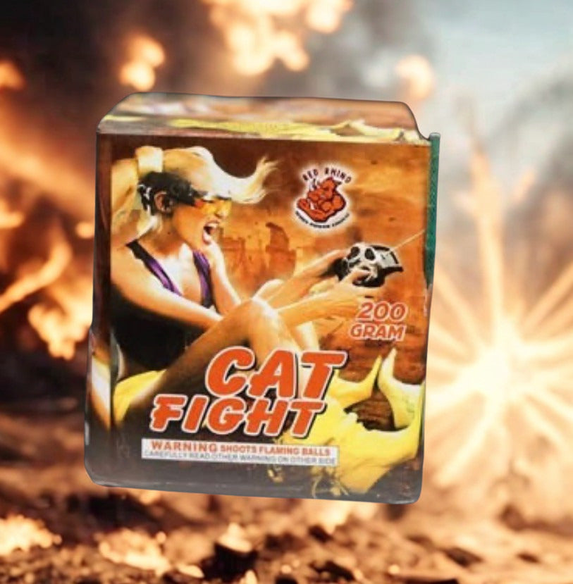 Cat Fight