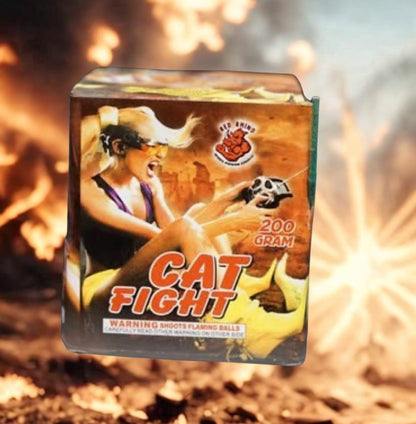 Cat Fight