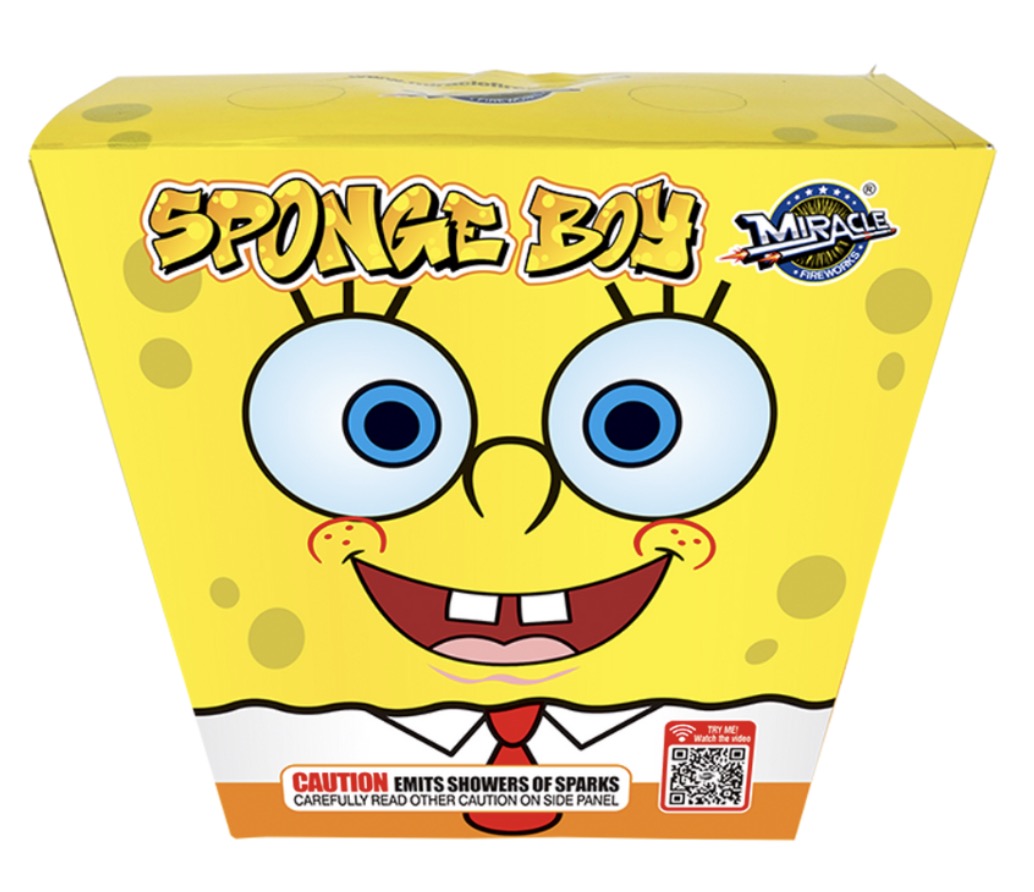 Sponge Boy