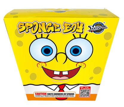 Sponge Boy