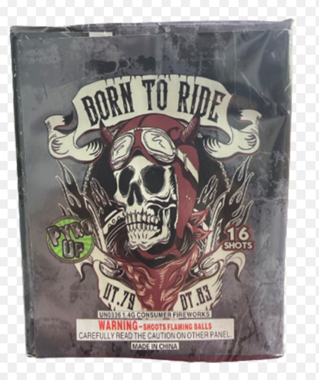 Born to Ride