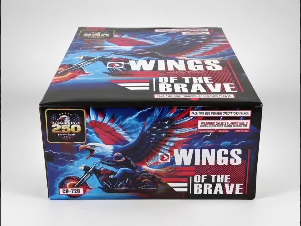 Wings of the Brave