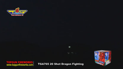 Dragon Fighting