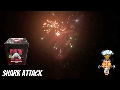 Shark Attack